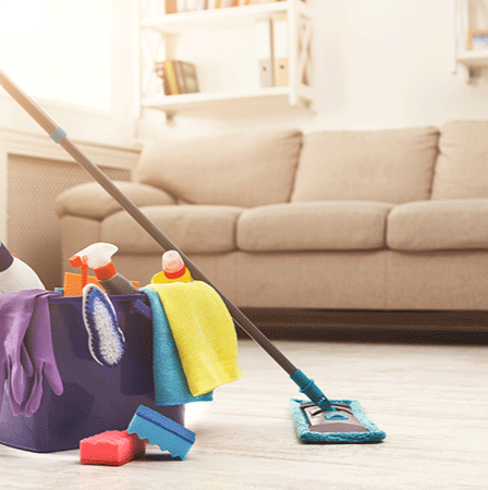 Living Room Cleaning