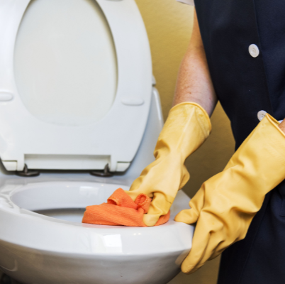 Bathroom Cleaning
